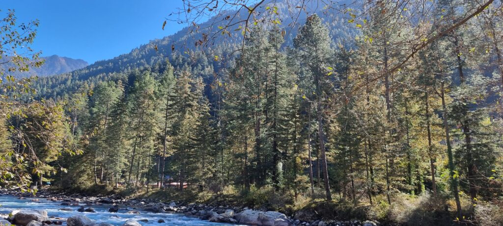 Parvati River View from Chahal Village